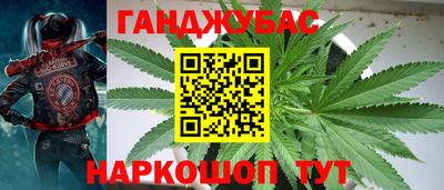 хмурый Бердск