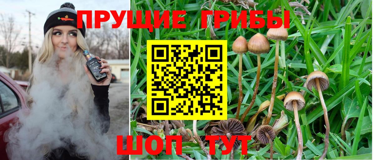 Аша  даркнет сайт  Вход с VPN  Галлюциногенные грибы мухоморы 